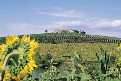 Toscane